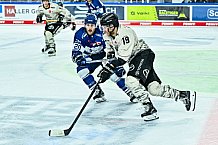 Eishockey, Herren, Penny DEL, 11. Spieltag, Saison 2023-2024, Straubing Tigers - Koelner Haie,15.10.2023