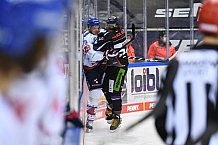 Eishockey, Herren, DEL, Saison 20202021, Straubing Tigers - Adler Mannheim, 22.01.2021