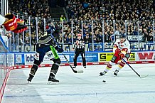 Eishockey, Herren, Penny DEL, 12. Spieltag, Saison 2023-2024, Straubing Tigers - Duesseldorfer EG,20.10.2023