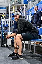 Eishockey, Herren, Penny DEL, 20. Spieltag, Saison 2023-2024, Straubing Tigers - Duesseldorfer EG,19.11.2023