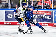 Eishockey, Men, DEL, Penny DEL, Hauptrunde Saison 2024-25, 5. Spieltag, Straubing Tigers - Eisbären Berlin, 01.10.2024