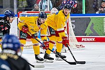 Eishockey, Herren, Penny DEL, 20. Spieltag, Saison 2023-2024, Straubing Tigers - Duesseldorfer EG,19.11.2023