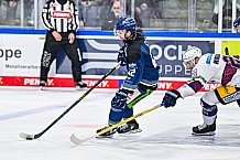 Eishockey, Herren, Penny DEL, Playoffs, Halbfinale, Spiel 2, Saison 2023-2024, Straubing Tigers - Eisbären Berlin, n03.04.2024