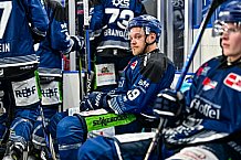 Eishockey, Herren, Penny DEL, Playoffs, Halbfinale, Spiel 2, Saison 2023-2024, Straubing Tigers - Eisbären Berlin, n03.04.2024