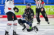 Eishockey, Herren, Penny DEL, 33. Spieltag, Saison 2023-2024, Straubing Tigers - Nürnberg Ice Tigers,30.12.2023