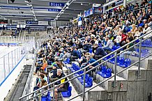 Eishockey, Herren, DEL, Penny DEL, Saison 2023-2024, Straubing Tigers, öffentliches Eistraining,06.08.2023