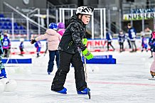 Eishockey, Men, DEL, Penny DEL,  Straubing Tigers - Kids on Ice, 28.09.2024