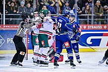 Eishockey, Herren, CHL, Champions Hockey League, Saison 2022-2023, Achtelfinale, Straubing Tigers - Frölunda HC Göteborg, Rückspiel, 22.11.2022
