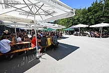 Eishockey, Herren, DEL, Saison 2021-2022, Straubing Tigers, 14.08.2021