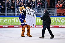 Eishockey, Herren, Penny DEL, DEL, Saison 2022-2023, Playoffs, Viertelfinale, Spiel 1, Straubing Tigers - Grizzlys Wolfsburg, 14.03.2023