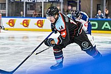 Eishockey, Men, CHL, Champions Hockey League, Regular Saison 2024-25, Game Day 1, Straubing Tigers - SonderjyskE Vojens, 06.09.2024