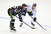 Straubing Tigers - EHC Red Bull München