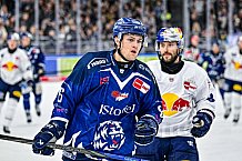 Eishockey, Men, DEL, Penny DEL, Hauptrunde Saison 2024-25, 4. Spieltag, Straubing Tigers - EHC Red Bull München, 29.09.2024