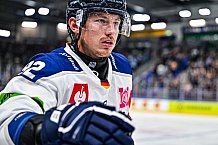 Eishockey, Men, CHL, Champions Hockey League, Regular Saison 2024-25, Game Day 1, Straubing Tigers - SonderjyskE Vojens, 06.09.2024