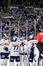 Eishockey, Men, DEL, Penny DEL, Hauptrunde Saison 2024-25, 4. Spieltag, Straubing Tigers - EHC Red Bull München, 29.09.2024