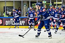 Eishockey, CHL, Champions Hockey League, 3. Spieltag, Saison 2022-2023, Gruppe F, Straubing Tigers - Comrach Cracovia, 09.09.2022