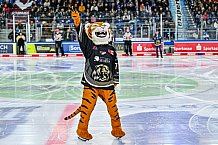 Eishockey, Herren, Penny DEL, 20. Spieltag, Saison 2023-2024, Straubing Tigers - Duesseldorfer EG,19.11.2023