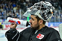 Eishockey, Herren, Penny DEL, 4. Spieltag, Saison 2023-2024, Straubing Tigers - Loewen Frankfurt,24.09.2023