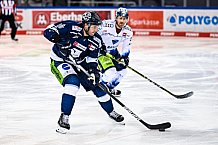 Eishockey, Herren, DEL, Saison 2021-2022, Panther, 16.12.2021