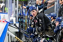 Eishockey, Herren, Penny DEL, 49. Spieltag, Saison 2023-2024, Straubing Tigers - Frankfurter Löwen,25.02.2024