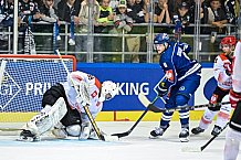 Eishockey, CHL, Champions Hockey League, 3. Spieltag, Saison 2022-2023, Gruppe F, Straubing Tigers - Comrach Cracovia, 09.09.2022