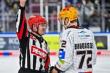 Eishockey, Herren, Penny DEL, 22. Spieltag, Saison 2023-2024, Straubing Tigers - Fischtown Pinguins Bremerhaven,26.11.2023