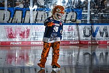 Eishockey, Herren, DEL, Saison 2021-2022, Straubing Tigers - Adler Mannheim, 10.09.2021
