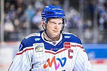 Eishockey, Herren, DEL, Saison 2021-2022, Straubing Tigers - Adler Mannheim, 10.09.2021