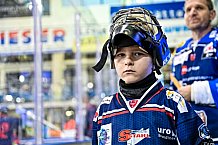 Eishockey, Herren, DEL, Saison 2022-2023, Hauptrunde, Straubing Tigers - ERC Ingolstadt, 22. Spieltag, 20.11.2022