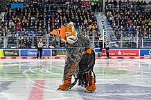 Eishockey, Herren, Penny DEL, 16. Spieltag, Saison 2023-2024, Straubing Tigers - Schwenninger Wild Wings,31.10.2023