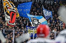 Eishockey, Herren, Penny DEL, Playoffs, Viertelfinale, Spiel 5, Saison 2023-2024, Straubing Tigers - Schwenninger Wild Wings,26.03.2024