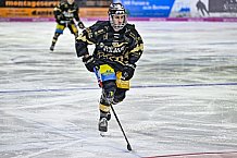 Herren, Eishockey, Oberliga-Süd, Saison 2022-2023, DEB, Deggendorfer SC - EV Herne Miners, Playoff, Viertelfinale, Spiel 4, 04.04.2023