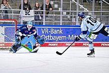 Eishockey, Herren, DEL, Penny DEL, Saison 2023-2024, Straubing Tigers, öffentliches Eistraining,06.08.2023