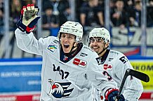 Eishockey, Herren, Penny DEL, 44. Spieltag, Saison 2023-2024, Straubing Tigers - Adler Mannheim,04.02.2024