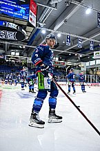 Eishockey, Herren, DEL, Saison 2021-2022, Playoff, Viertelfinale, Spiel 3, Straubing Tigers - Adler Mannheim, 14.04.2022