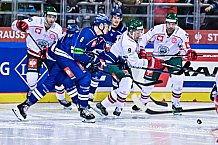 Eishockey, Herren, CHL, Champions Hockey League, Saison 2022-2023, Achtelfinale, Straubing Tigers - Frölunda HC Göteborg, Rückspiel, 22.11.2022