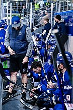 Eishockey, Herren, Penny DEL, DEL, Saison 2022-2023, Playoffs, Viertelfinale, Spiel 3, Straubing Tigers - Grizzlys Wolfsburg, 19.03.2023