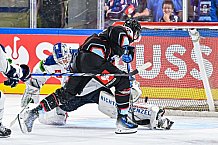 Eishockey, Men, CHL, Champions Hockey League, Regular Saison 2024-25, Game Day 1, Straubing Tigers - SonderjyskE Vojens, 06.09.2024