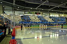 Eishockey, CHL, Champions Hockey League, 3. Spieltag, Saison 2022-2023, Gruppe F, Straubing Tigers - Comrach Cracovia, 09.09.2022