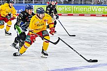 Eishockey, Herren, Penny DEL, 20. Spieltag, Saison 2023-2024, Straubing Tigers - Duesseldorfer EG,19.11.2023