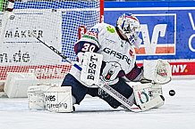 Eishockey, Herren, Penny DEL, 37. Spieltag, Saison 2023-2024, Straubing Tigers - Eisbären Berlin,12.01.2024