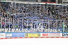 Eishockey, Herren, DEL, Penny DEL, Saison 2022-2023, Hauptrunde, Straubing Tigers - Adler Mannheim, 40. Spieltag, 06.01.2023