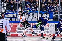 Eishockey, Herren, Penny DEL, DEL, Saison 2022-2023, Playoffs, Viertelfinale, Spiel 5, Straubing Tigers - Grizzlys Wolfsburg, 24.03.2023