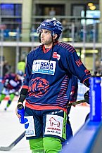 Eishockey, Herren, DEL, Saison 2022-2023, Hauptrunde, Straubing Tigers - Löwen Frankfurt, 7. Spieltag, 02.10.2022
