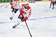 Eishockey, Men, CHL, Champions Hockey League, Regular Saison 2024-25, Game Day 4, Straubing Tigers - Dynamo Pardubice, 15.09.2024