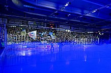 Eishockey, Herren, Penny DEL, 40. Spieltag, Saison 2023-2024, Straubing Tigers - Augsburger Panther,21.01.2024