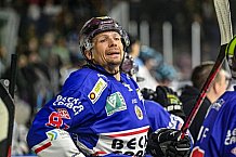 Herren, Eishockey, Oberliga-Sued, Saison 2023-2024, DEB, Deggendorfer SC - Bayreuth Tigers, 1. Spieltag, 28.09.2023