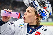 Eishockey, Herren, Penny DEL, 32. Spieltag, Saison 2023-2024, Straubing Tigers - Adler Mannheim,28.12.2023