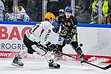 Eishockey, Herren, Penny DEL, 22. Spieltag, Saison 2023-2024, Straubing Tigers - Fischtown Pinguins Bremerhaven,26.11.2023