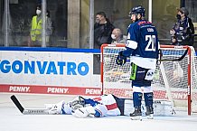 Eishockey, Herren, DEL, Saison 2021-2022, Straubing Tigers - Adler Mannheim, 10.09.2021